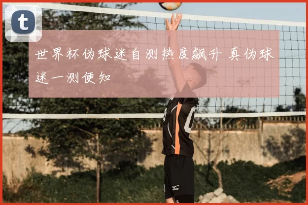 世界杯伪球迷自测热度飙升 真伪球迷一测便知