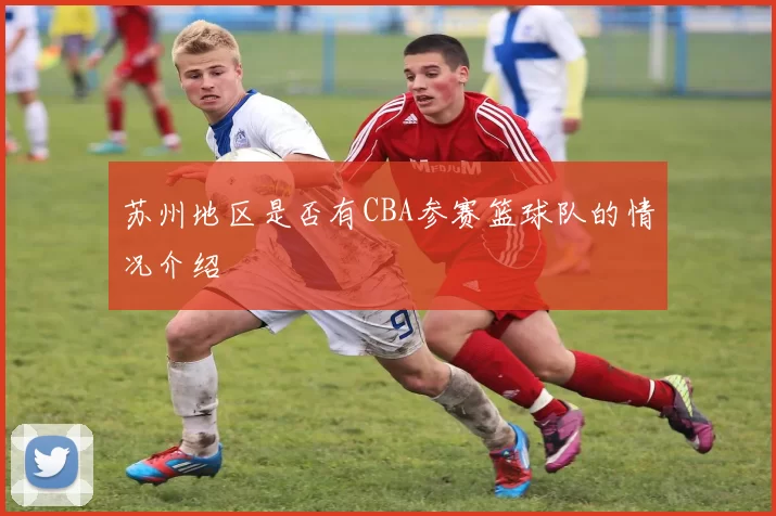苏州地区是否有CBA参赛篮球队的情况介绍