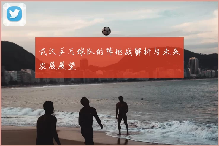 武汉乒乓球队的阵地战解析与未来发展展望