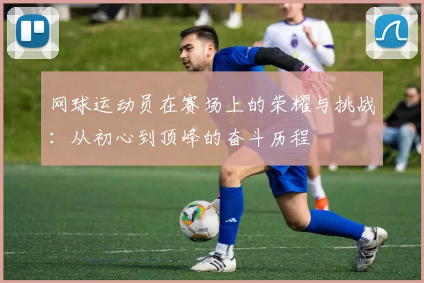 网球运动员在赛场上的荣耀与挑战：从初心到顶峰的奋斗历程