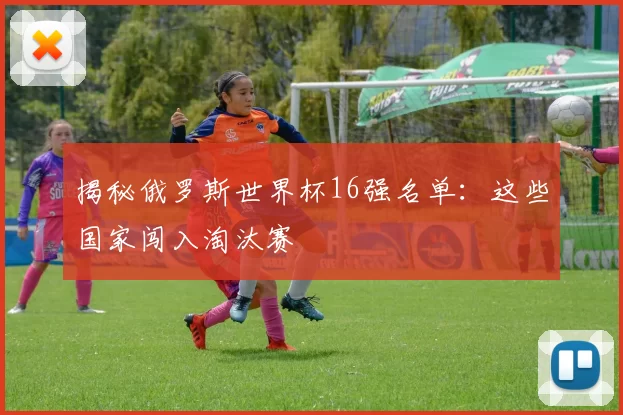 揭秘俄罗斯世界杯16强名单:这些国家闯入淘汰赛