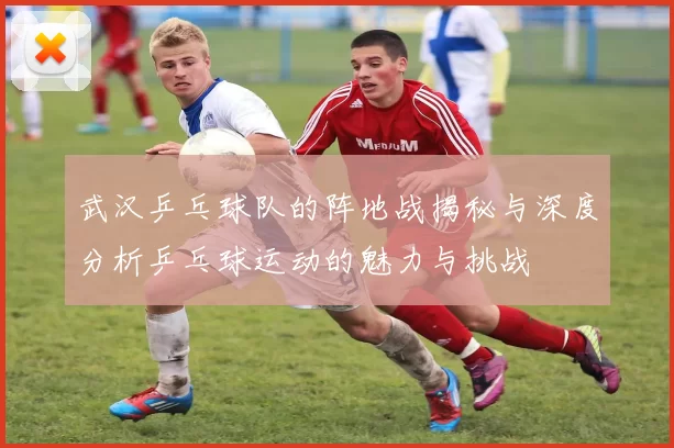 武汉乒乓球队的阵地战揭秘与深度分析乒乓球运动的魅力与挑战