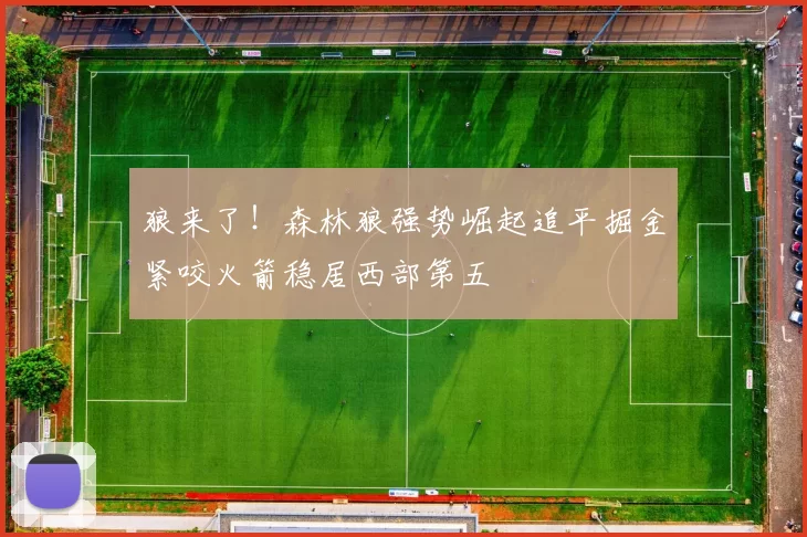 狼来了!森林狼强势崛起追平掘金紧咬火箭稳居西部第五