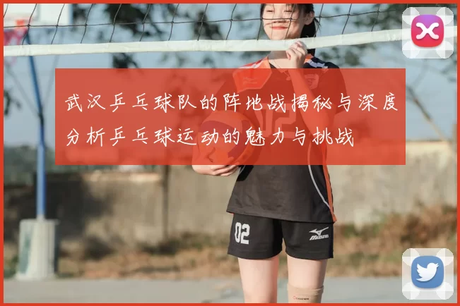 武汉乒乓球队的阵地战揭秘与深度分析乒乓球运动的魅力与挑战
