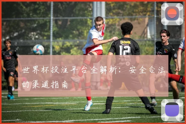世界杯投注平台全解析:安全合法的渠道指南
