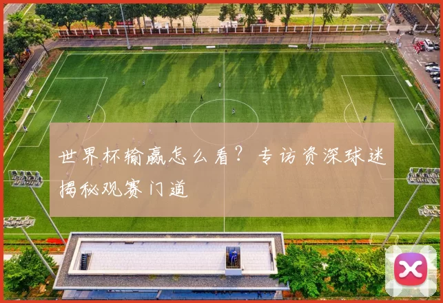 世界杯输赢怎么看?专访资深球迷揭秘观赛门道