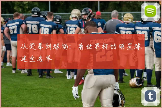 从荧幕到球场:看世界杯的明星球迷全名单
